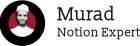 NoCoder Murad, Notion Expert